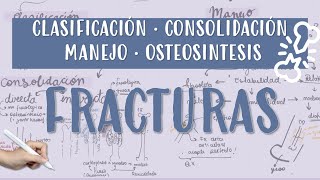 FRACTURA CONSOLIDACION OSTEOSINTESIS YESO CALLOBLANDO CALLODURO [upl. by Leonerd]