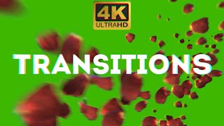 Rose Petals Transitions Green Screen Video Free Transitions for Love amp Valentines Day Gift 4K [upl. by Ddot70]