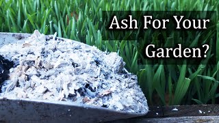 Ash For Your Garden  4 Ways To Apply It Properly [upl. by Arras]