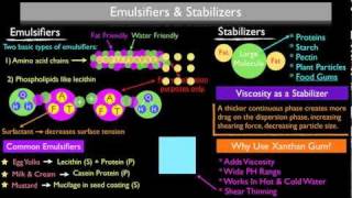 How Emulsifiers and Stabilizers Work [upl. by Daberath]