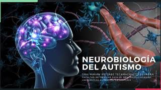 NEUROBIOLOGÍA DEL AUTISMO INTRODUCCIÓN [upl. by Vivica]