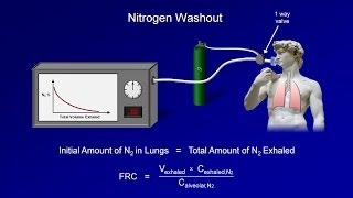 Pulmonary Function Tests PFT Lesson 3  Lung Volumes [upl. by Chamkis366]