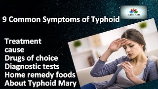 SALMONELLA TYPHI AND PARATYPHI  STRUCTURE SYMPTOMS TREATMENT LIFE CYCLE  BY PHANINDRA GUPTHA [upl. by Aihsenor]