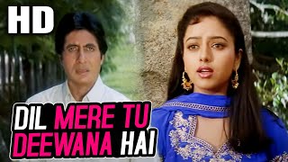 Dil Mere Tu Deewana Hai Sad  Kumar Sanu  Sooryavansham 1999 Songs  Amitabh Bachchan Soundarya [upl. by Atiugal]