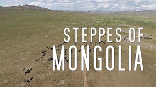 STEPPES OF MONGOLIA Landscape Video Series  Amazing 4KUltra HD Aerial Scenery [upl. by Roose]