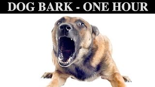 Sound Effects Of Dog Barking  ONE HOUR  BARK  GROWLING  CRY  PUPPY  WHINING  HQ [upl. by Wootan]