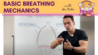 Basic Breathing Mechanics [upl. by Rexana]