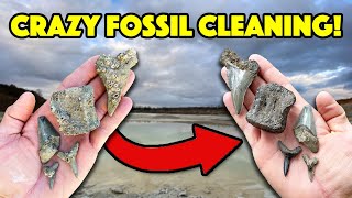 How to Clean Your Fossils Satisfying Time Lapse [upl. by Noryak]