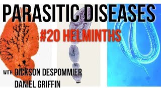 Parasitic Diseases Lectures 20 Helminths [upl. by Acirtap]