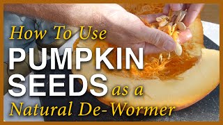 Pumpkin Season  Using The Seeds As A Dewormer [upl. by Leemaj]