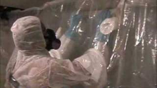 Asbestos Removal [upl. by Cranford]