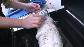 How We Cooked a Whole Roast Suckling Pig on a Gas Grill [upl. by Darwin261]