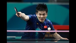 Fan Zhendong ALC review VS VISCARIA 樊振东ALC是蝴蝶最成功的产品吗？ [upl. by Bonne]