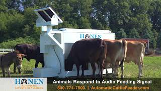 Hanen Automatic Livestock Feeders [upl. by Ahidam]