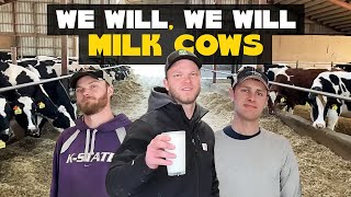 We Will Milk Cows We Will Rock You Parody [upl. by Drannel756]