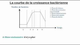 La croissance bactérienne [upl. by Wayne992]