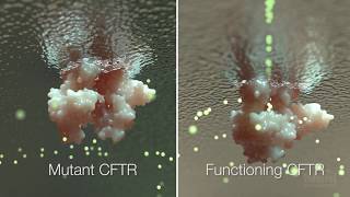 Cystic Fibrosis Mechanism and Treatment  HHMI BioInteractive Video [upl. by Nol]