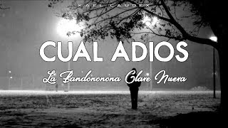 Cual Adios  Banda Clave Nueva Letra [upl. by Jemima]