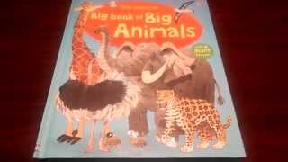 Big Book of Big Animals [upl. by Eanore276]