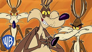 Looney Tunes auf Deutsch  Wile E Coyote das Genie  30 Minuten  WB Kids [upl. by Okoyik]