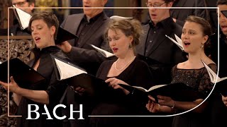 Bach  Motet Singet dem Herrn ein neues Lied BWV 225  MacLeod  Netherlands Bach Society [upl. by Rhonda]