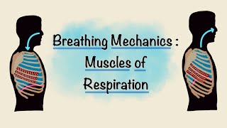 Heart Coherence Breathing Exercise  HRV Resonant Cardiac Breathwork  TAKE A DEEP BREATH [upl. by Ahtekahs]