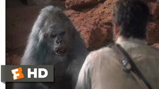 Congo 89 Movie CLIP  Killa Gorilla 1995 HD [upl. by Vogeley91]