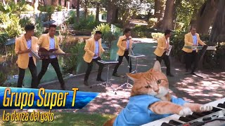 Grupo Super T  La danza del gato  Video Oficial [upl. by Lali]