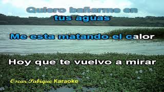 Laguna Vieja Tono Original  Reynaldo Armas  Karaoke [upl. by Aisatna563]