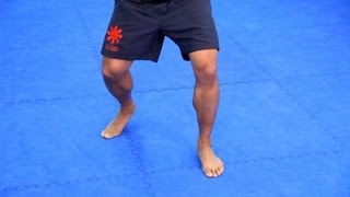 5 Footwork Basics  MMA Fighting [upl. by Grous206]