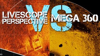 LiveScope Perspective VS Mega 360  Garmin VS Humminbird [upl. by Nyla]