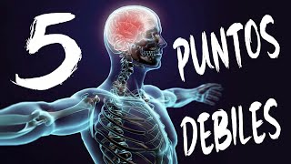 😱 CUALES son los PUNTOS DEBILES del cuerpo humano  5 PUNTOS VITALES para Defensa Personal 🔊 [upl. by Eldon]