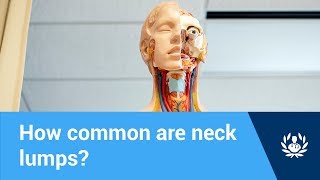 Neck Anatomy 2 Lymph Nodes [upl. by Laehcar]