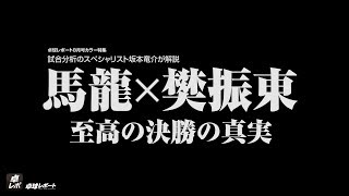 【修正版】卓レポ201708特集 馬龍VS樊振東 至高の決勝の真実 [upl. by Dawna]