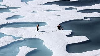 Alterações climáticas ameaçam ecossistemas na Terra relatórios científicos [upl. by Murdocca96]