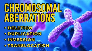 Chromosomal Aberrations  Deletion  Duplication  Inversion  Translocation [upl. by Mehalek]