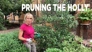 How to Prune Holly [upl. by Randal]