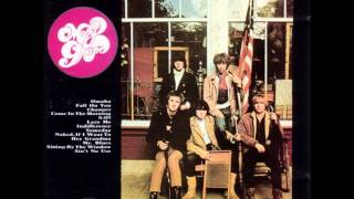 Moby Grape  Changes [upl. by Einatsed401]