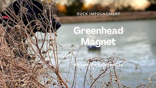 DIY Duck Impoundment BUILDING a Duck Pond [upl. by Leseil]