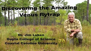 Discovering the Amazing Venus Flytrap [upl. by Vandyke]