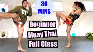 BEGINNER MUAY THAI  Full Class 30 Minutes  No Equipment [upl. by Enelrad]