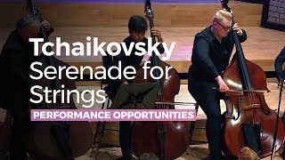 Tchaikovsky  Serenade for Strings in C major Op 48 [upl. by Kalila]