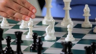 Basics of the Sicilian Defense  Chess [upl. by Aloke]