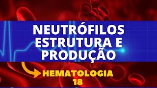 NEUTRÓFILOS ESTRUTURA E PRODUÇÃO  HEMATOLOGIA  AULA 18 [upl. by Bilski]