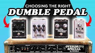 Dumble Pedal Round Up  Which one is right for YOU [upl. by Woolson940]