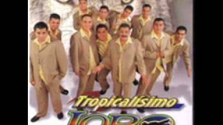 tropicalisimo lobo la mil y una noches [upl. by Keslie]