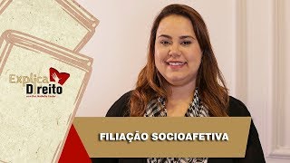 Explica Direito Filiação Socioafetiva  2019 [upl. by Valeria795]