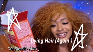 Dyeing My Hair Honey Blonde amp Blonde No Bleach  Ashley Renee [upl. by Anayhd]