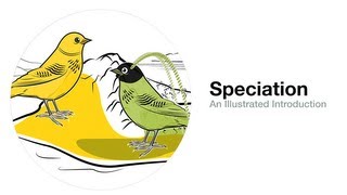 Speciation An Illustrated Introduction [upl. by Vevine]