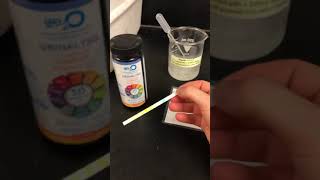 Lactase Enzyme Lactaid Dairy Relief Lab Part 1 [upl. by Hanah]